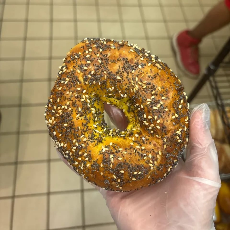 Delicious Egg Everything Bagel