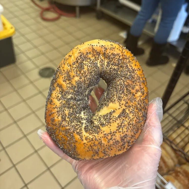 Poppy Bagel.