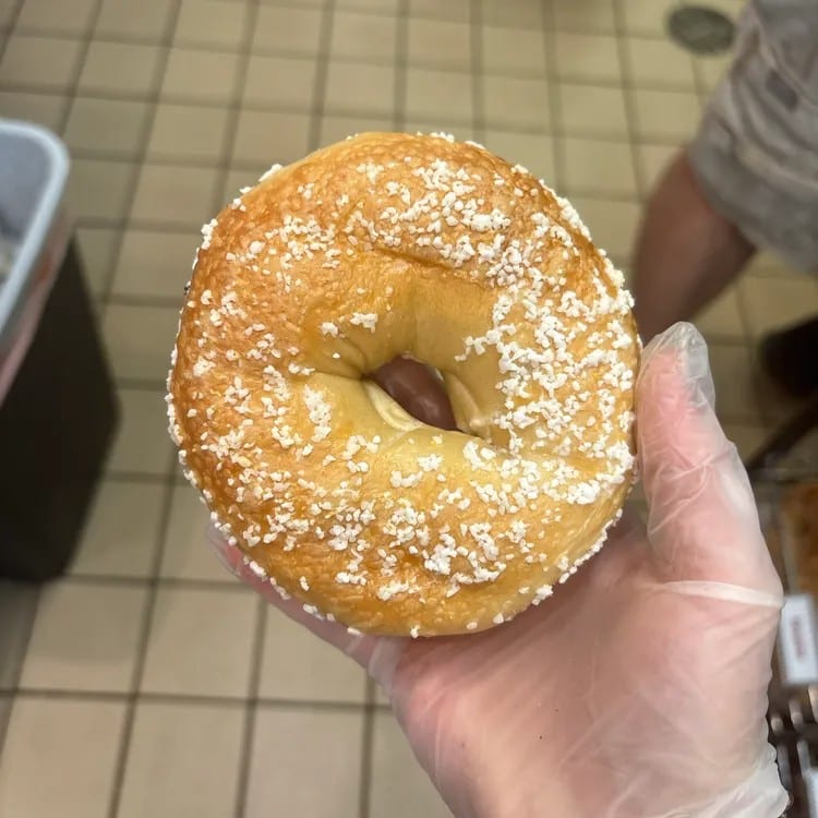 Salt Bagel.