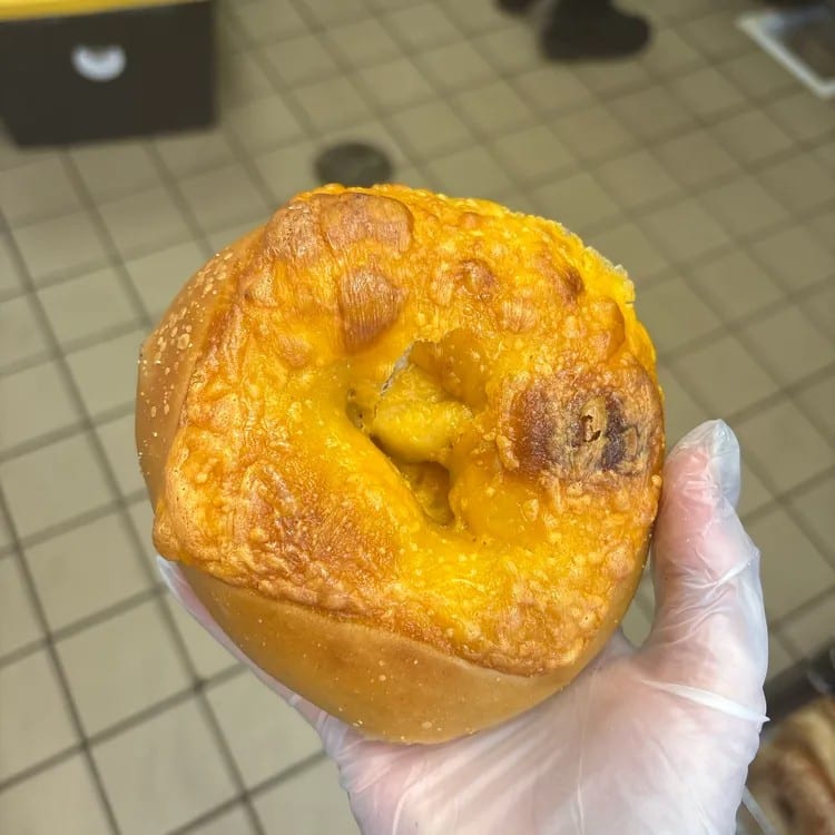 Cheddar Bagel.