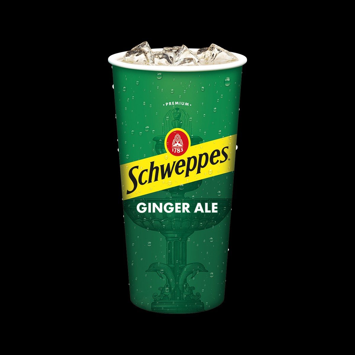 Schweppes Ginger Ale - Fountain.