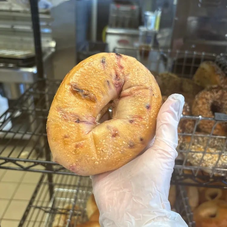 Blueberry Bagel.