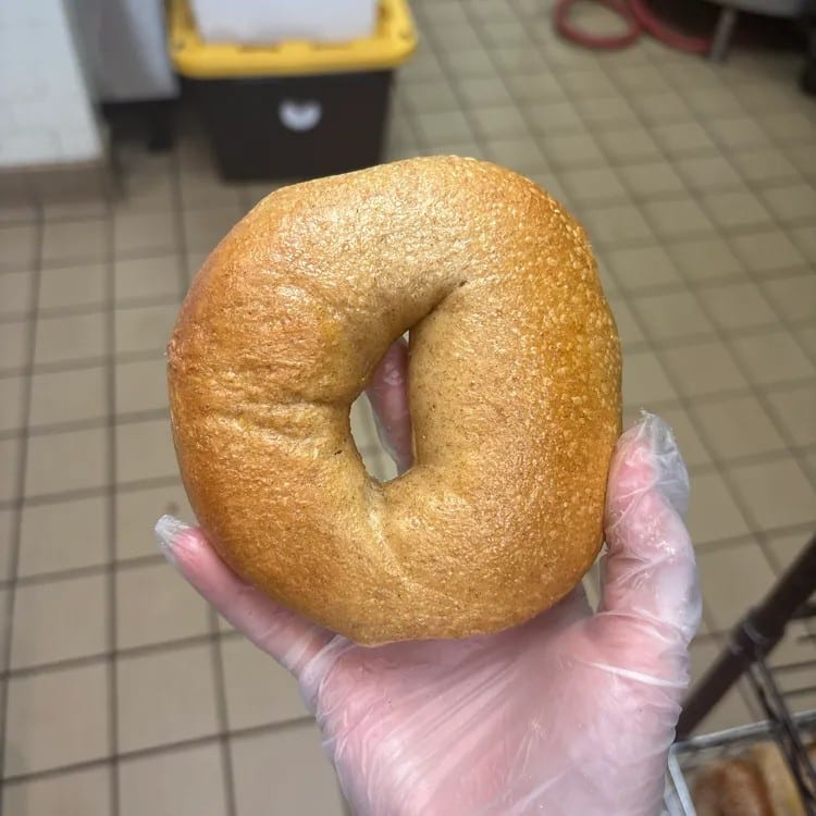 Whole Wheat Bagel.