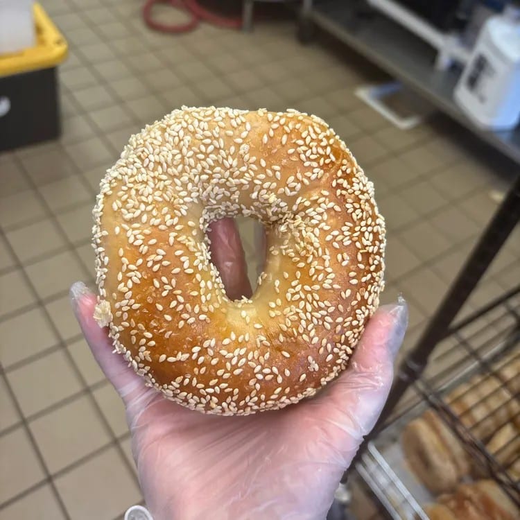 Sesame Bagel.