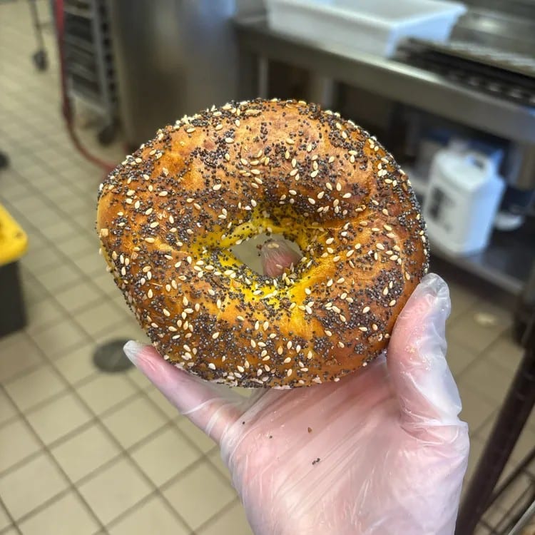 Egg Everything Bagel.
