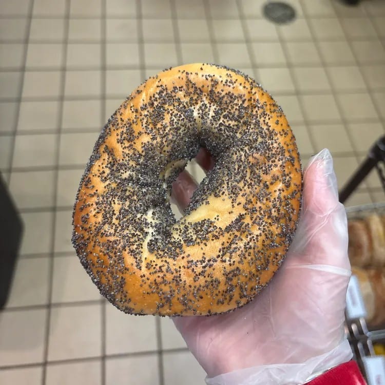 Poppy Bagel.