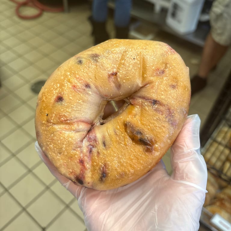 Our Fresh Blueberry Bagel