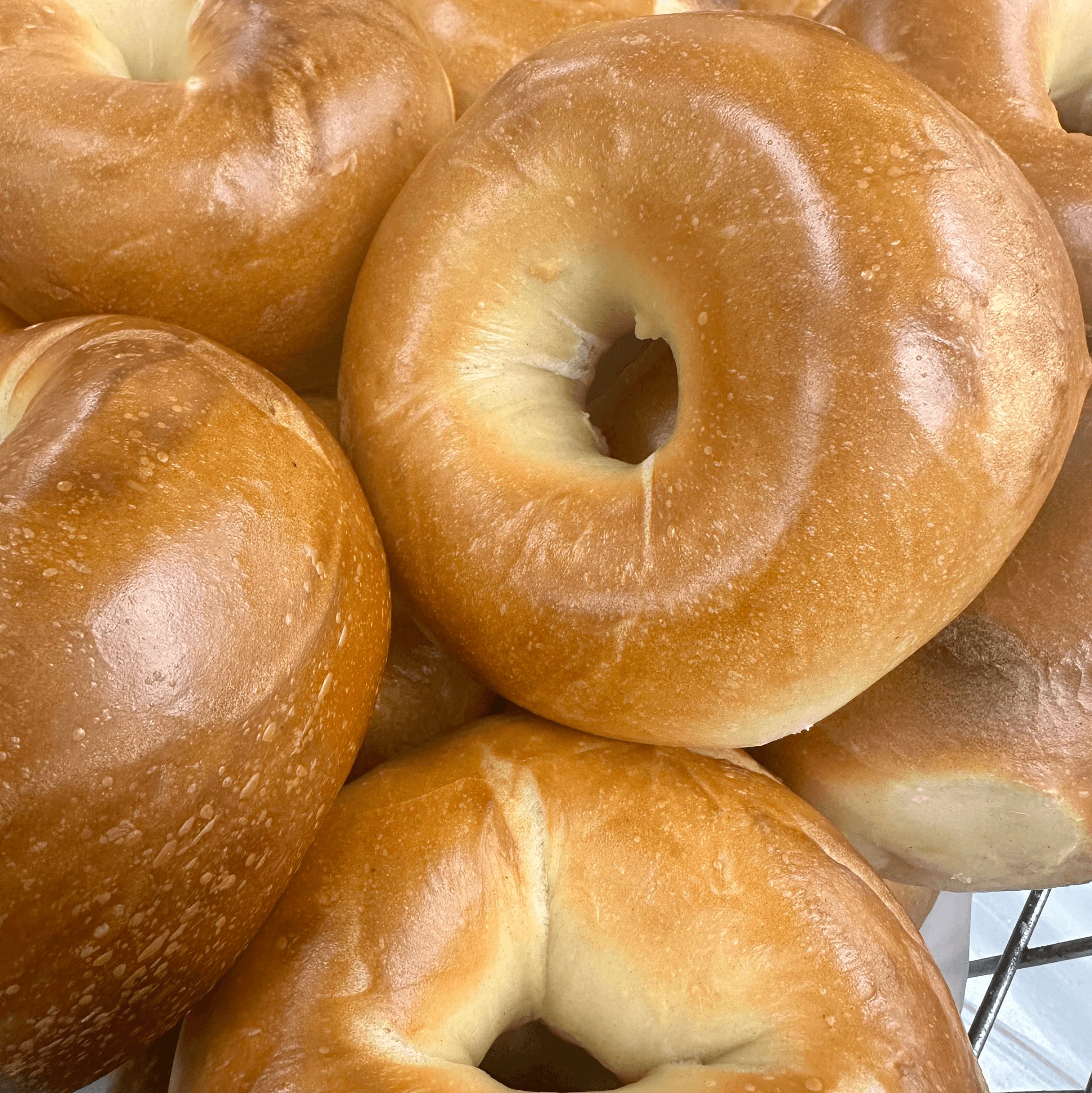 Plain Bagel.