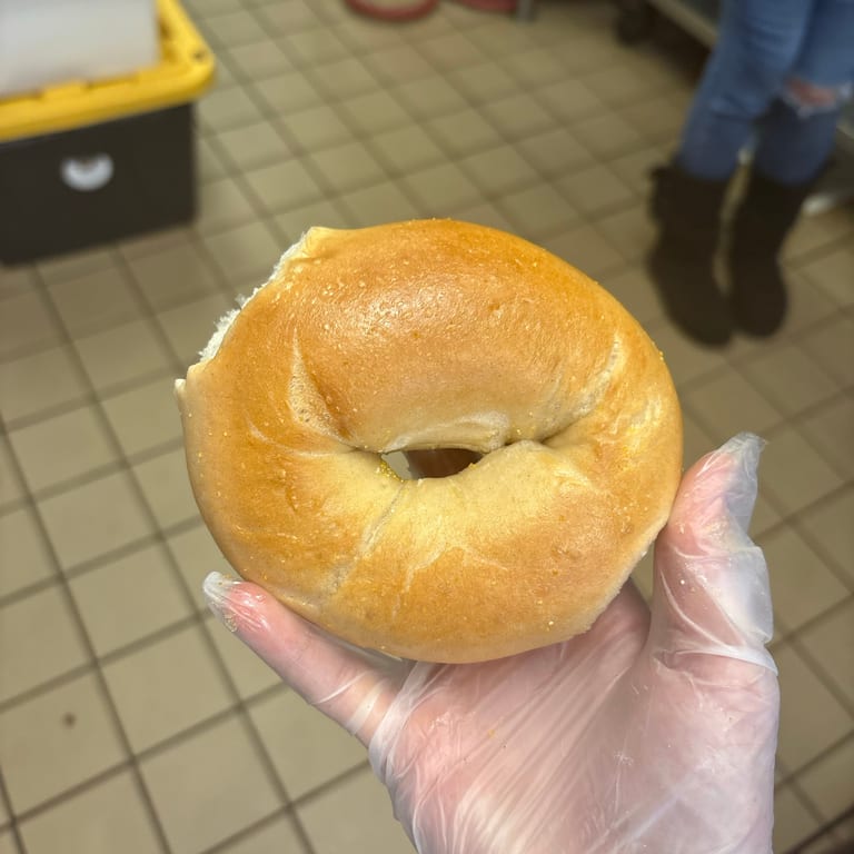 Delicious Plain Bagel
