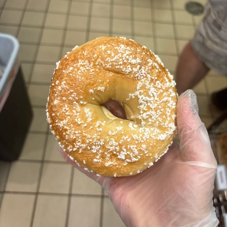 Delicious Salt Bagel Experience