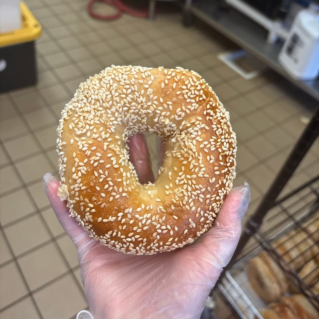 Sesame Bagel.