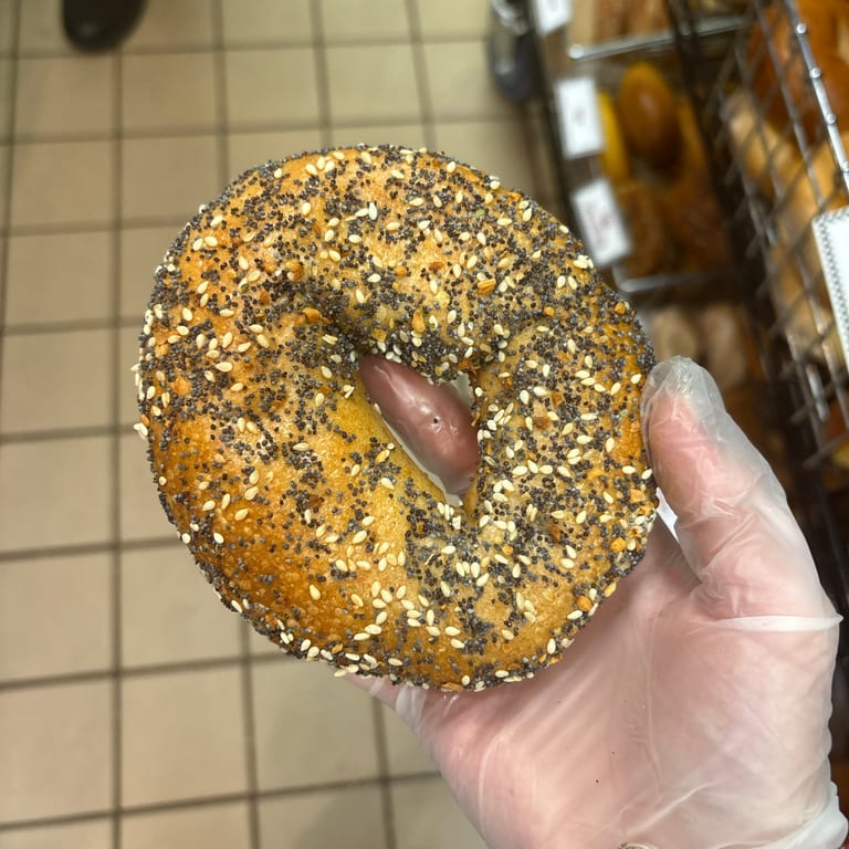 Everything Bagel Delight